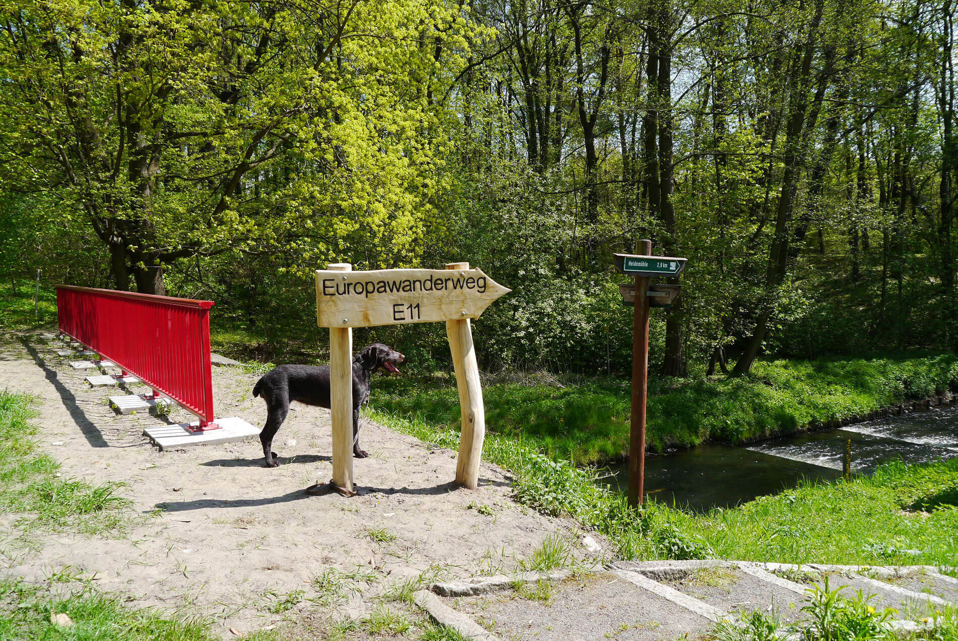 Hinweisschild auf den Europawanderweg E11 mitten im Wald am Fluss