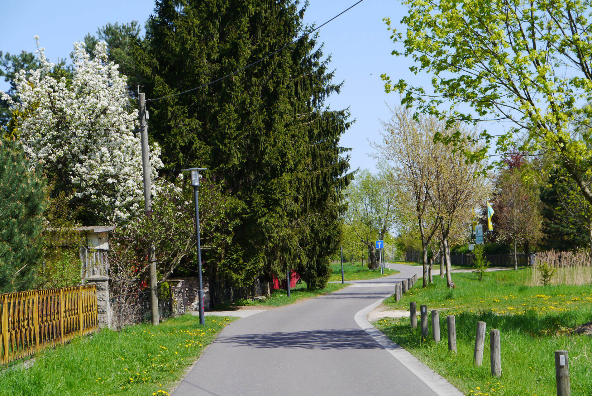 Kleine Straße mit vielen Bäumen und blühenden Büschen